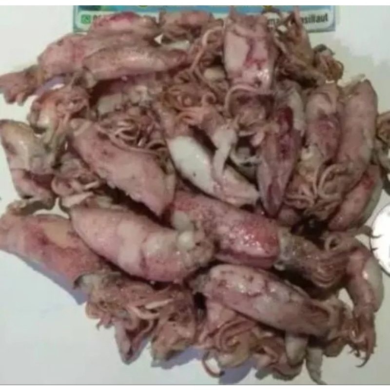 

Cumi kecil asin/sotong baby cumi