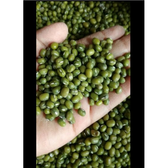 

kacang hijau