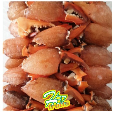 

CAPIT KEPITING 1 KILO
