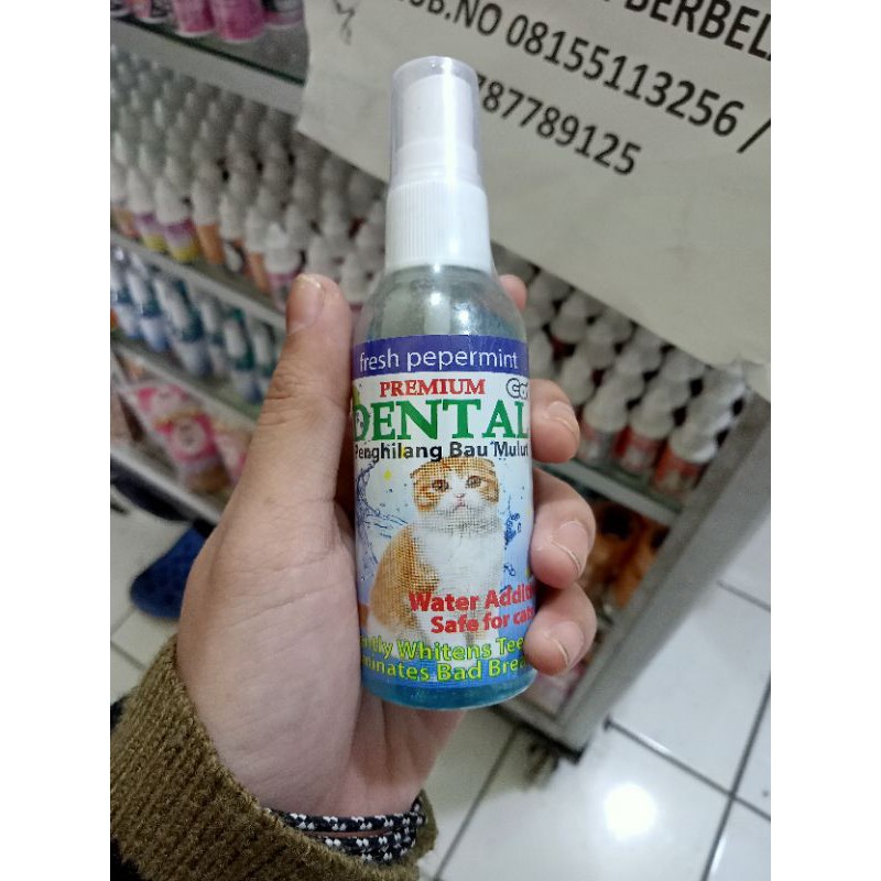 obat penghilang bau mulut untuk kucing
