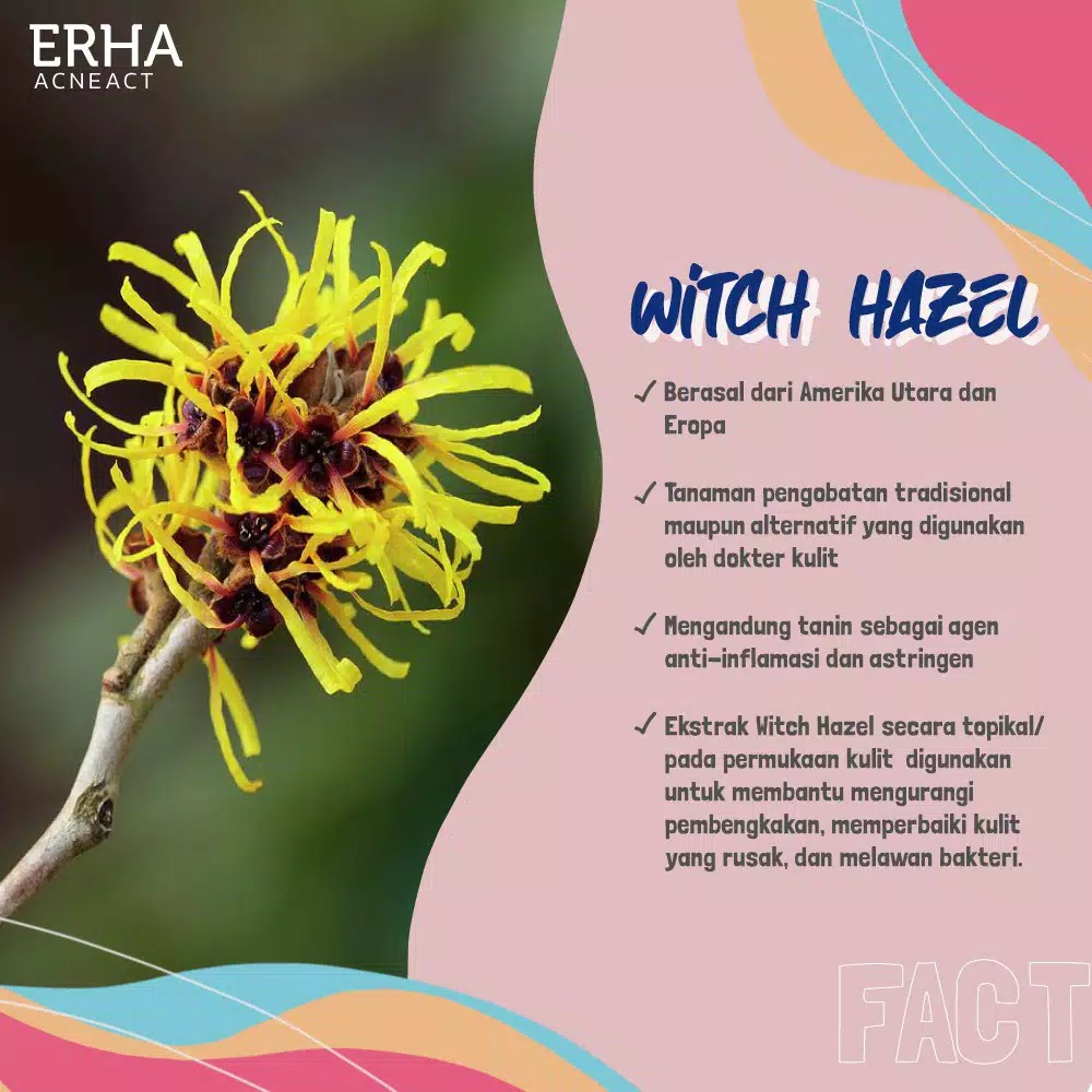 ERHA AcneAct Witch Hazel &amp; Zinc Gluconate Pore Minimizing Toner 100ml ~ ORIGINAL 100%