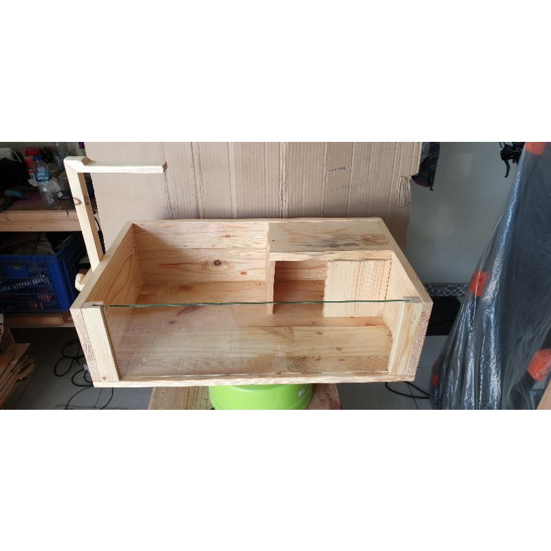 Table tortoise kandang kura kura darat baby sulcata pardalis dan lainnya hamster landak mini