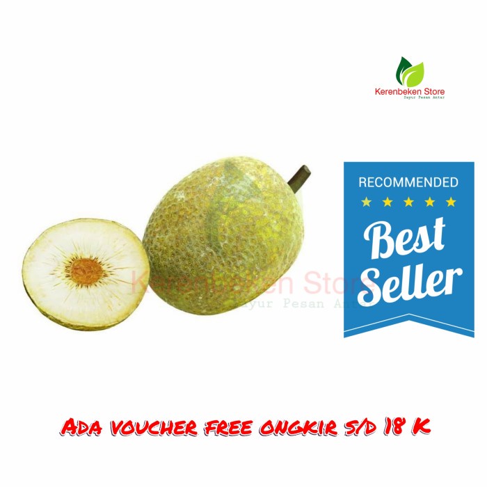 

buah sukun per buah berat 900gr - 1200gr