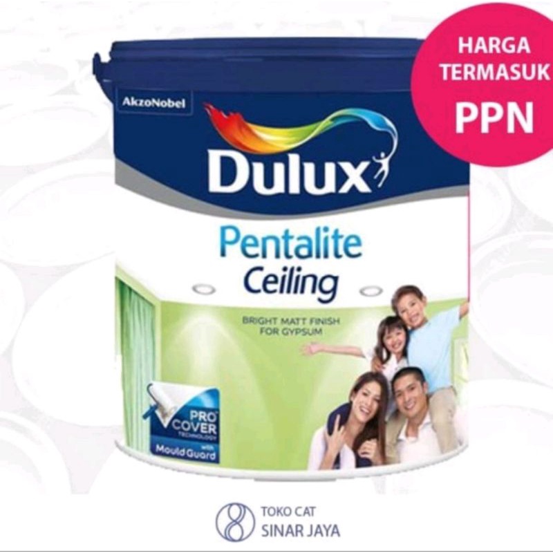 Dulux Pentalite Ceiling 5kg