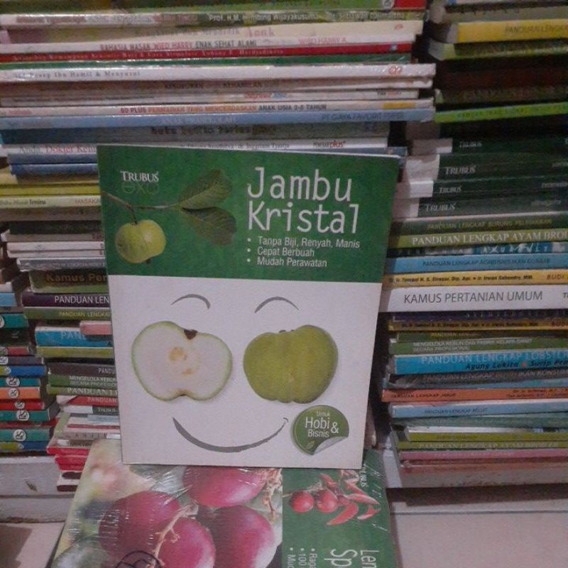 Jambu kristal tanpa biji renyah manis