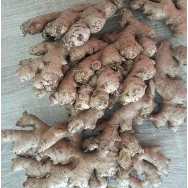 

JSR jahe emprit 100gr
