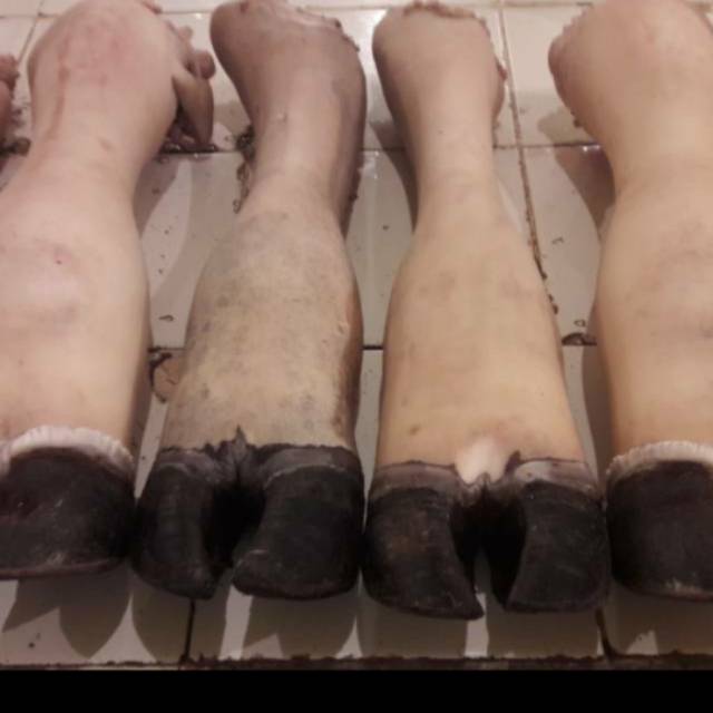 

BEEF FEET / KAKI SAPI BX JUMBO