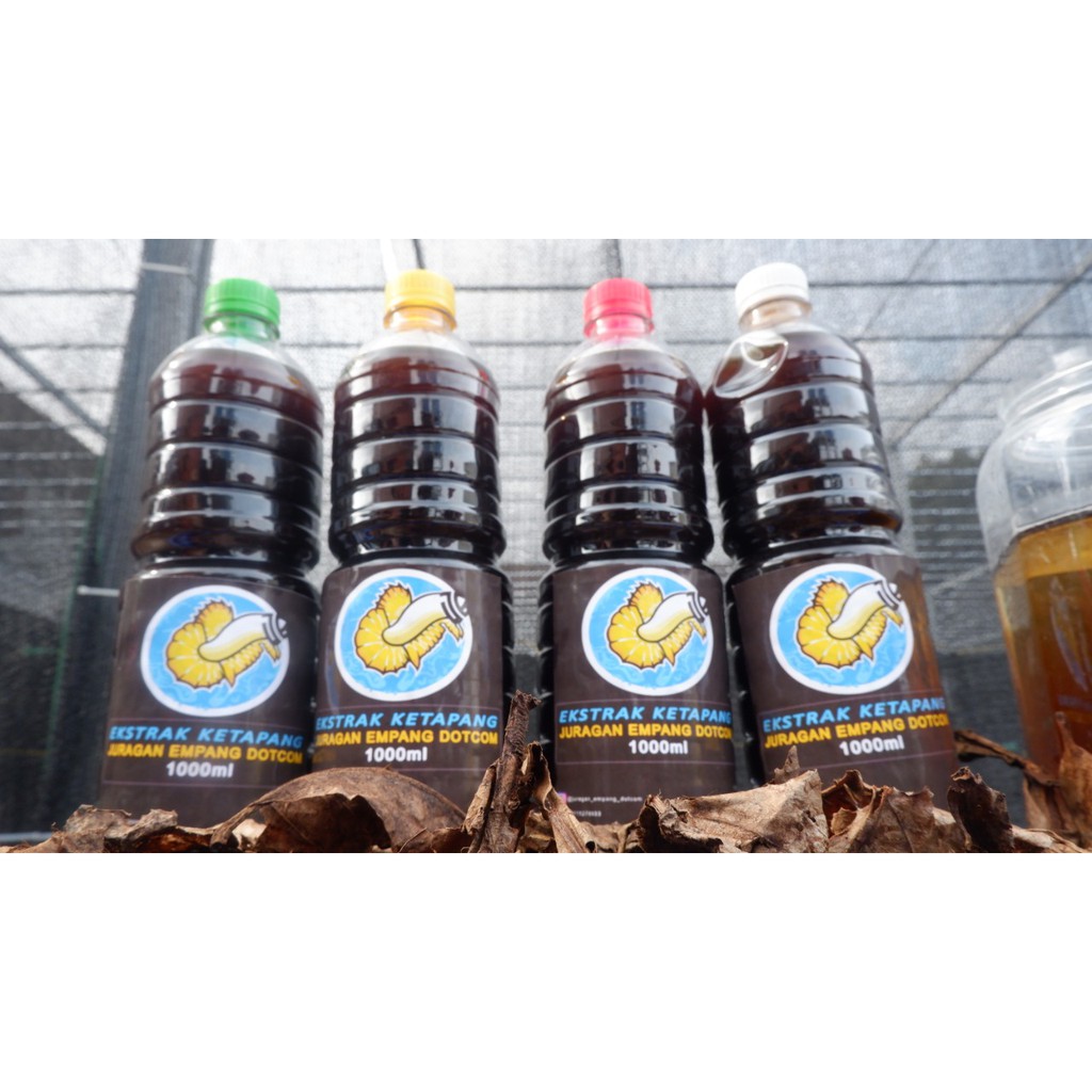 ekstrak ketapang laut / extract ketapang laut