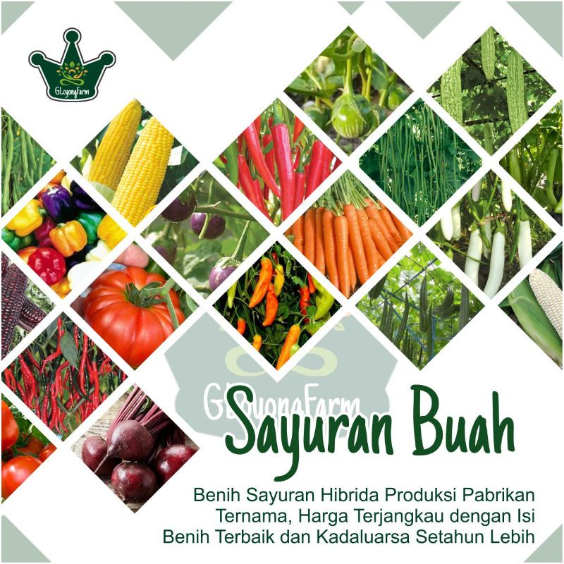 Bibit Sayuran Timun Cabai Cabe Kacang Oyong Pare Terong Tomat Wortel Jagung Bombai Okra Buncis Paprika