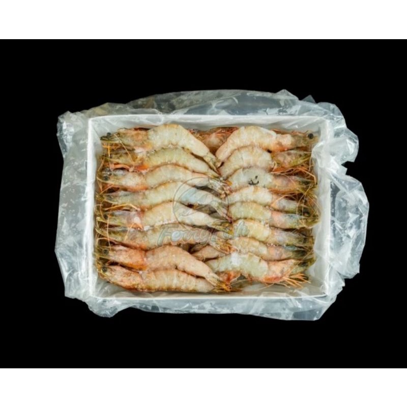 

Udang Jerbung / Shrimp Jerbung 1 kg