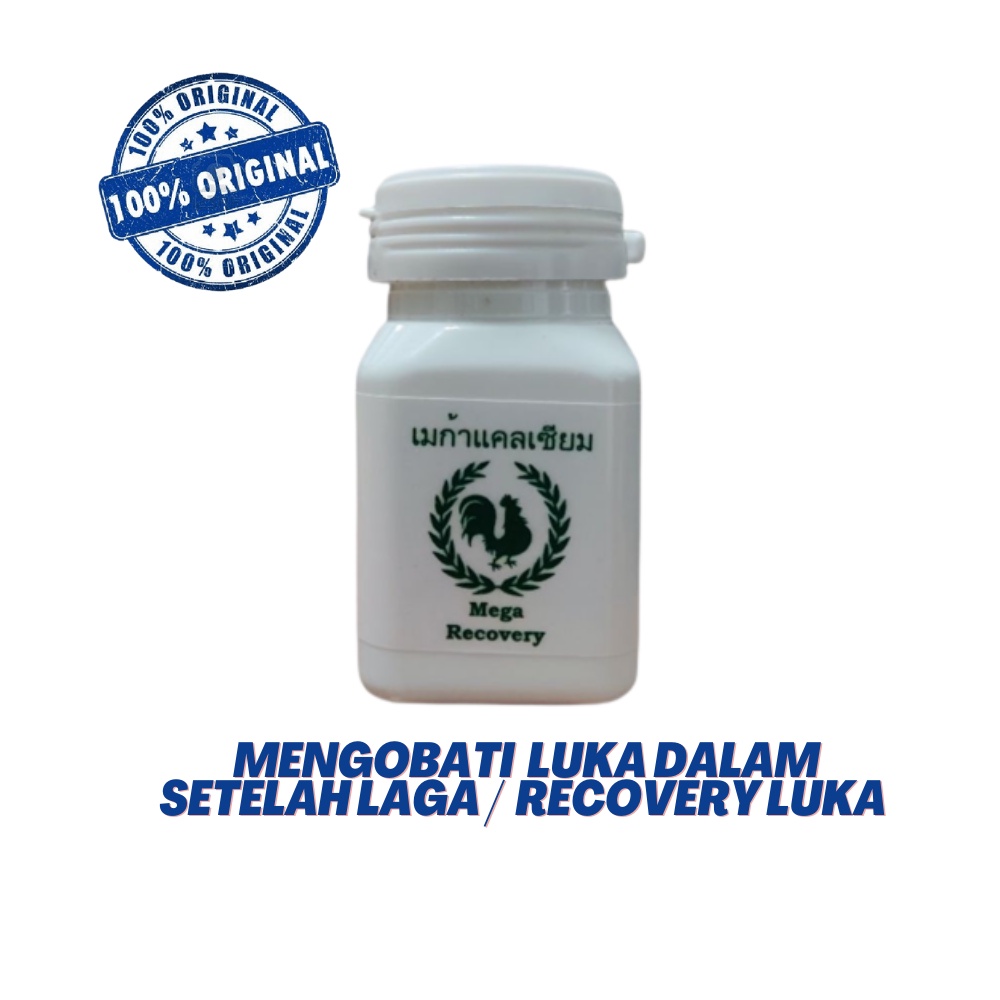 MEGA RECOVERY pengobatan luka dalam ayam 30 capsul