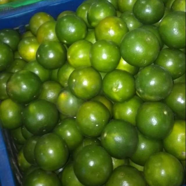 

Jeruk Peras Jeruk Vitamin C