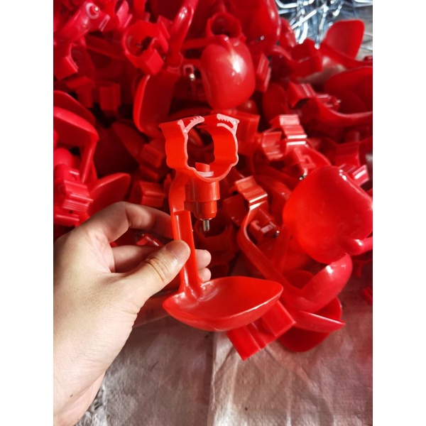 Nipel Ayam broiler