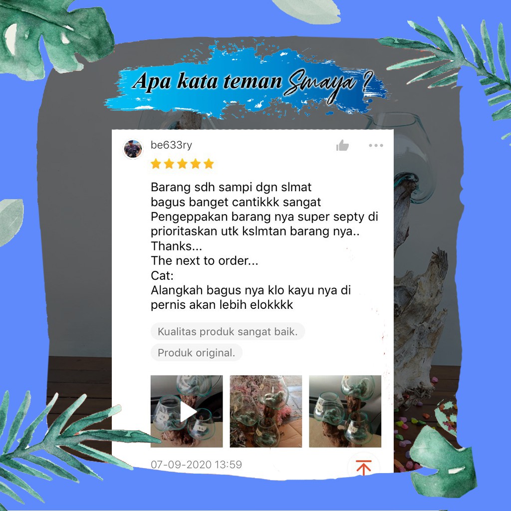 AQUARIUM IKAN CUPANG UNIK | AQUARIUM AKUARIUM MINI BULAT KECIL | AQUARIUM KACA IKAN HIAS AKRILIK