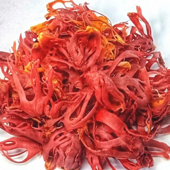 

Kembang Pala / Fuli / Mace 100Gram