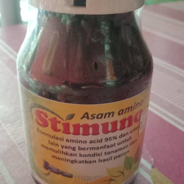ASAM AMINO AMINO GROW
