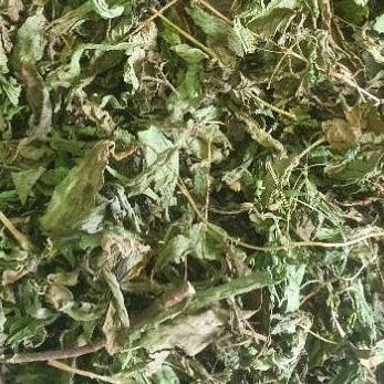 

Daun Stevia Kering Alami 100gr Daun Murni