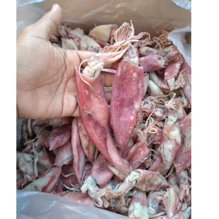 

Terbaru 4.4 Murah !!!! Cumi Asin Kering 250gram