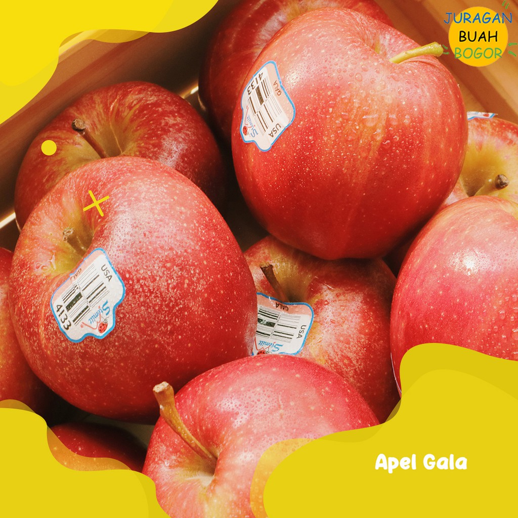 BUAH APEL ROYAL GALA | APEL GALA SUPER 1Kg