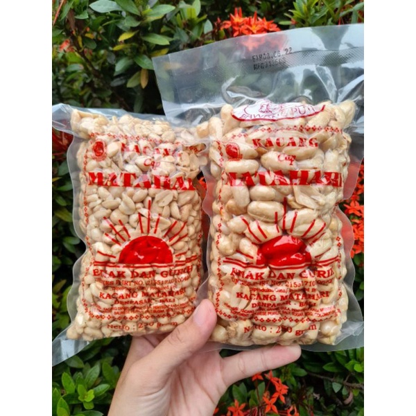 

Kacang Bali Matahari