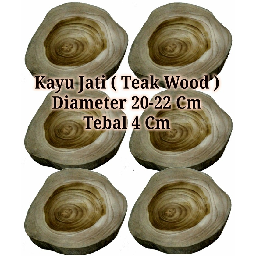 Teak wood slice potongan kayu jati 20-22 cm tebal 4 cm alas kayu dekor