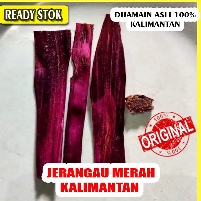 Jerangau Merah Kalimantan Jerangau Asli Kalimantan Kering saset