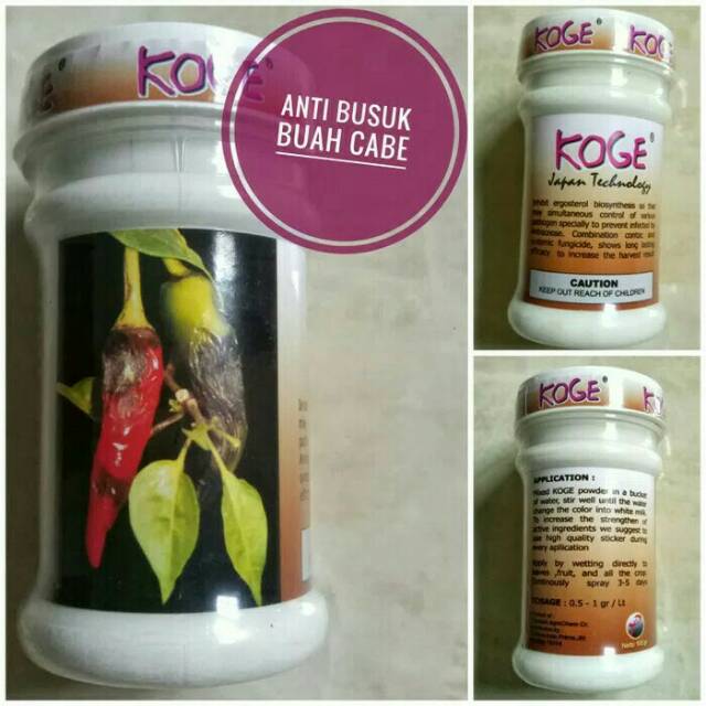 Obat Pertanian Koge 50gr Untuk Mengatasi Busuk Buah Cabe Shopee Indonesia