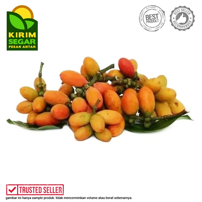 

Melinjo Segar / Buah Melinjo / Biji Melinjo / Melinjo
