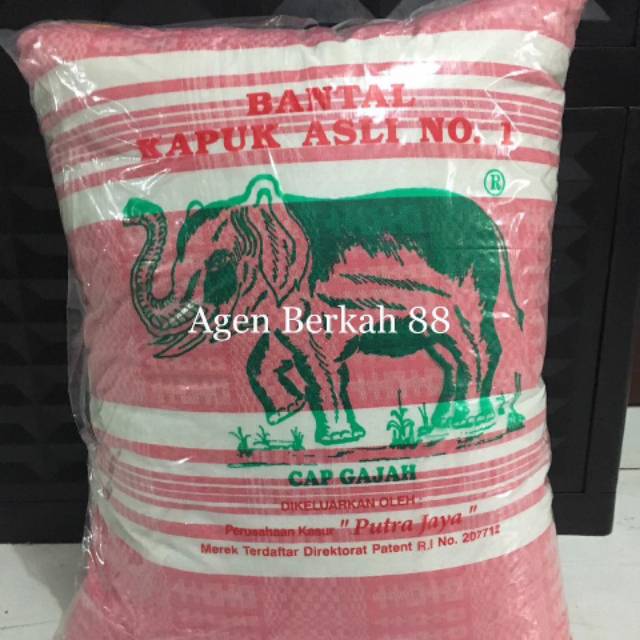 Bantal kapuk Asli Cap Gajah Padat Kapuk Asli BANTAL