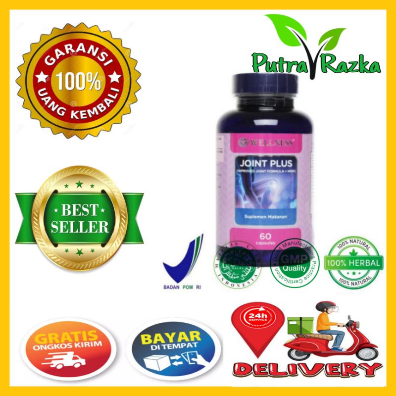 Wellness Joint Plus 60 Kapsul With MSM Joint Formula Original 100%