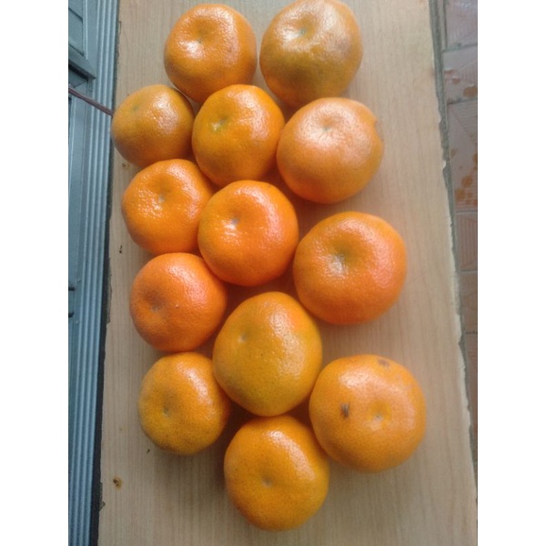 

Jeruk Honey Mercut