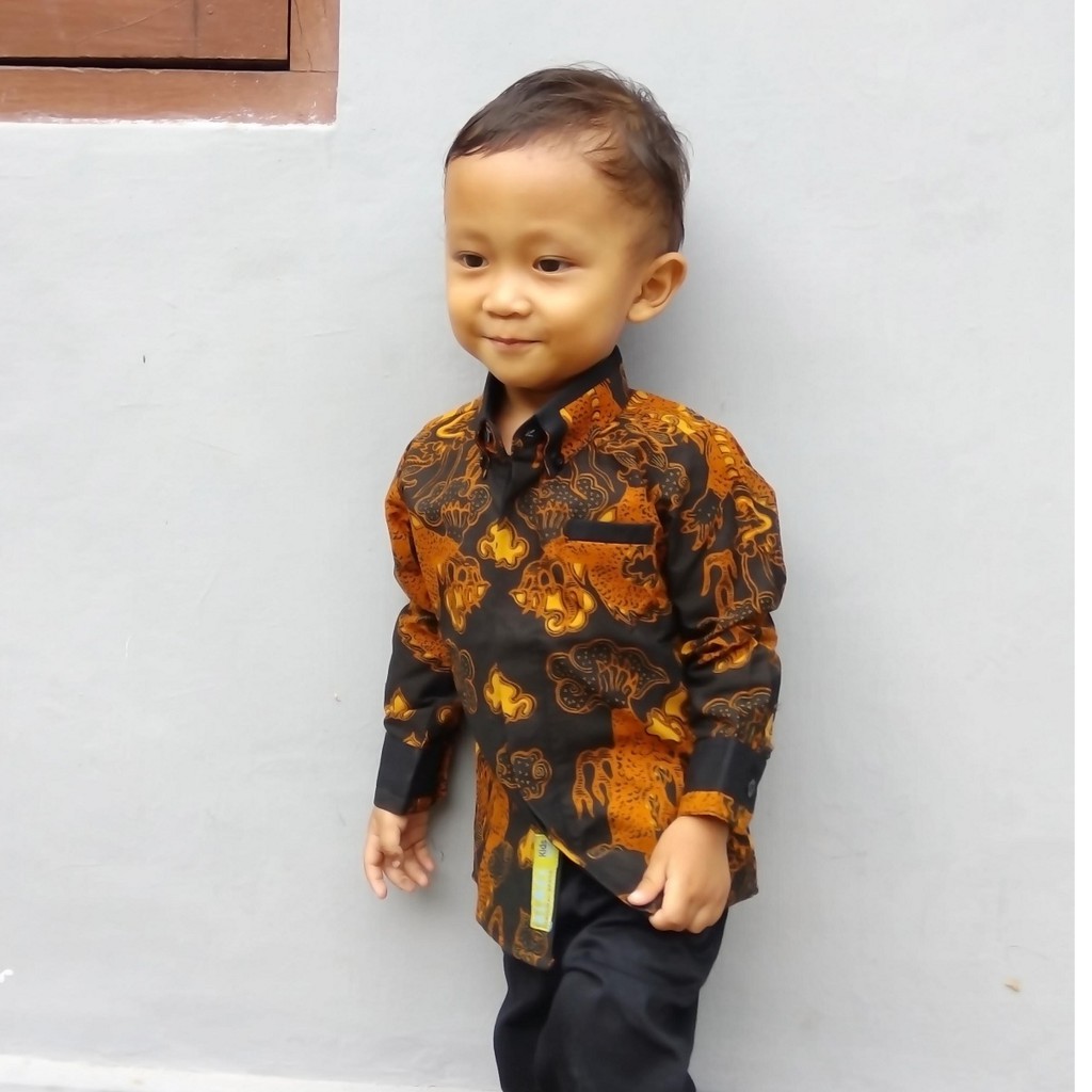 Kemeja Batik Anak Laki Laki Lengan Panjang Kekinian Baju Batik Anak Laki Laki Premium Batik Anak Shopee Indonesia