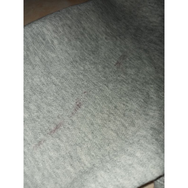 Hoddie Dickies Second brand