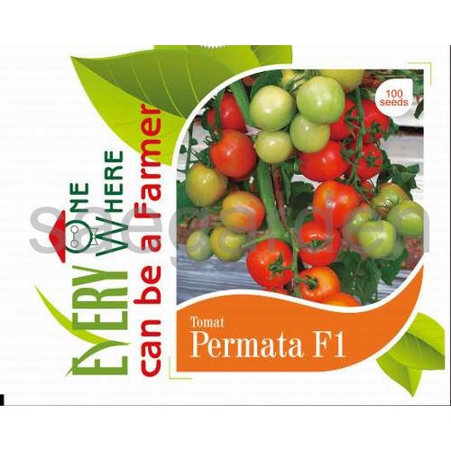Tomat Permata F1 Benih sayuran 100 seeds