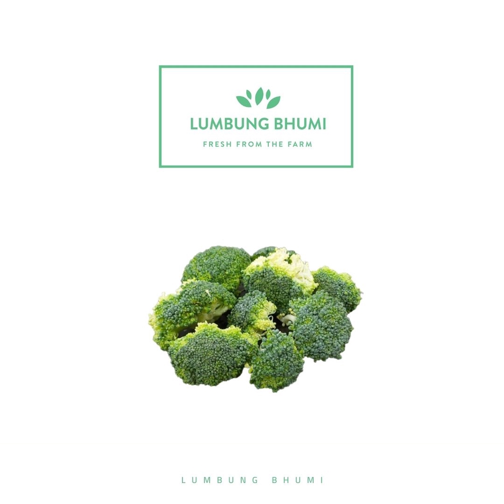 

Lumbung Bhumi - Brokoli POTONG 100 Gr ( Sayur Curah )