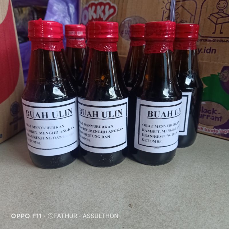 MINYAK RAMBUT BUAH KAYU ULIN RAMUAN KHAS KALIMANTAN