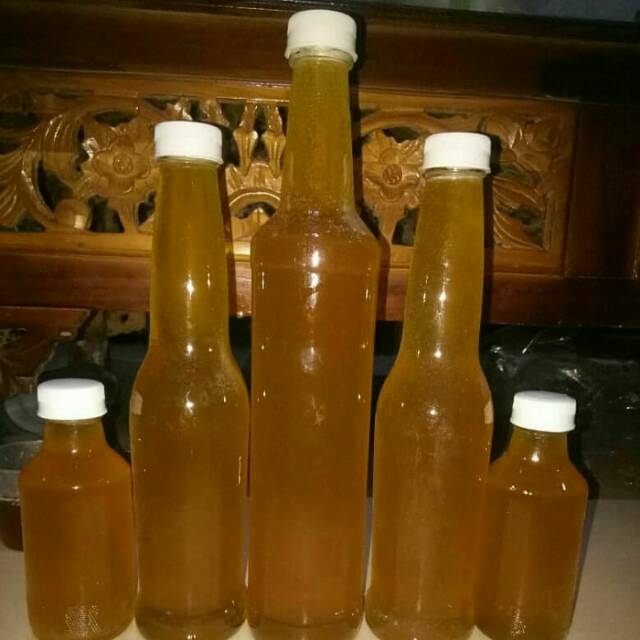 

Madu Mellifera ukuran sedang
