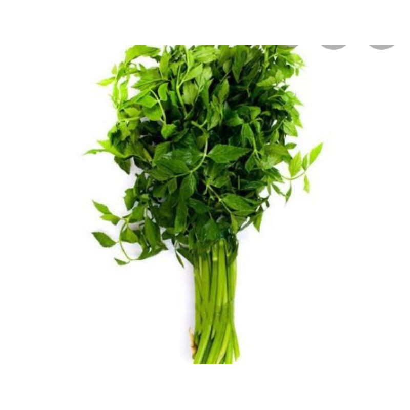 

Tespong