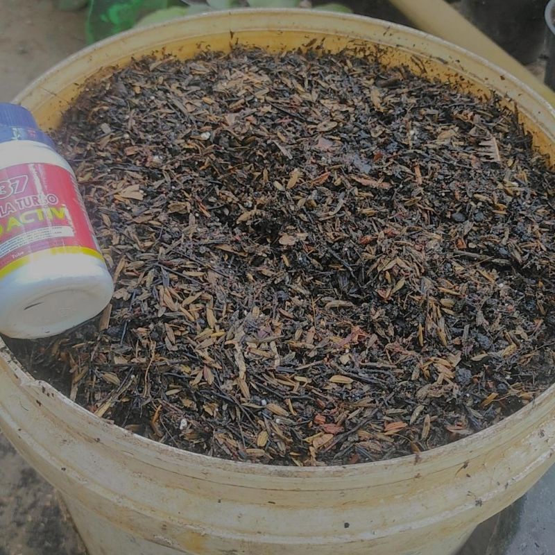 Media tanam aglonema musim kemarau premium 7 bahan 500 gram sudah difermentasi metan philodendron an