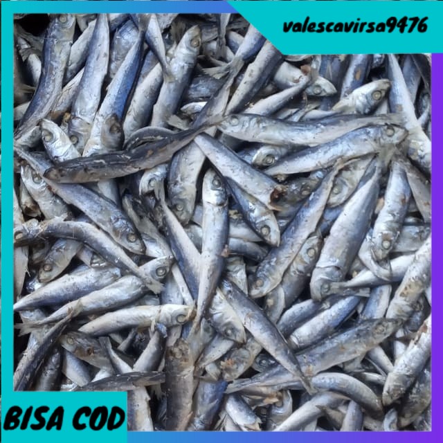 

⭐BISA COD⭐ ikan asin layang rebus per 500gr