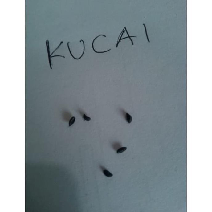 

TRENDING JIRIFARM BIBIT KUCAI KEMASAN 5 BUTIR - 11594 TERLARIS