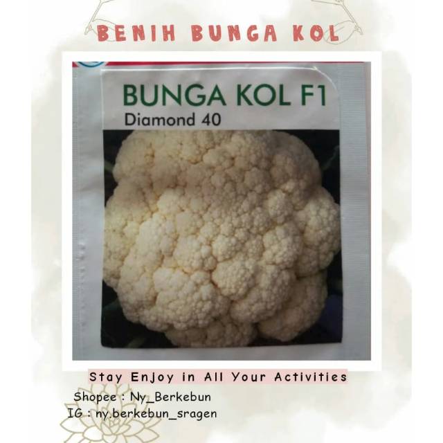 Benih bunga kol