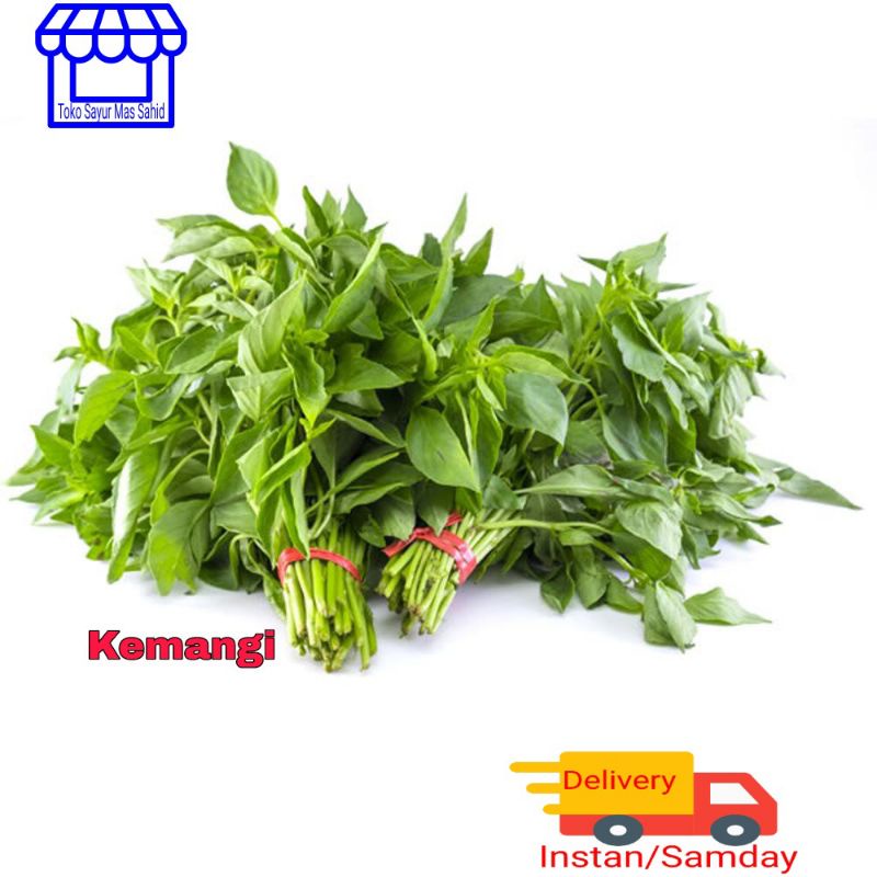 

Kemangi Daun Kemangi Segar 3 ikat
