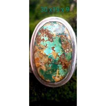 pirus persia lawasan multy color jumbo