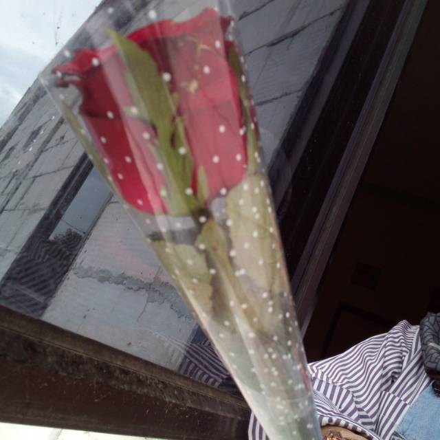 aditiya_nur.kha50