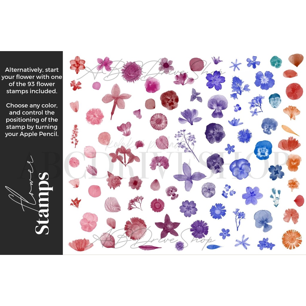 Procreate Brush - Pressed Flower Brushes for Procreate
