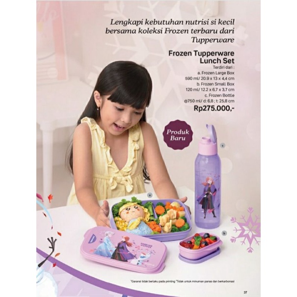 Frozen Tupperware Lunch Set