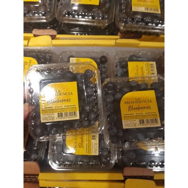 

Blueberries Import Jumbo La Providencia Premium 125grm