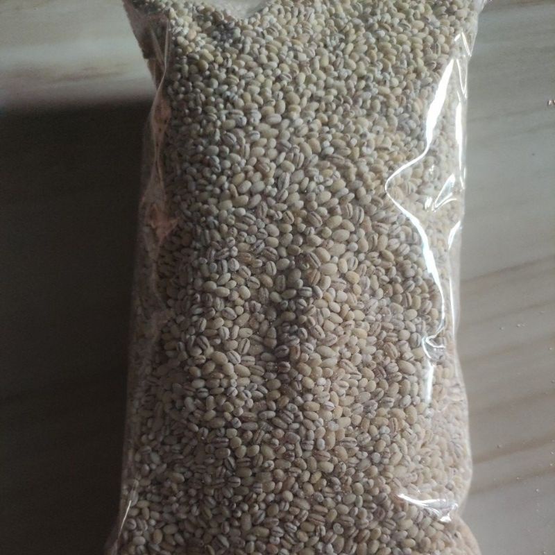 

biji jali jali barley import 1000gr