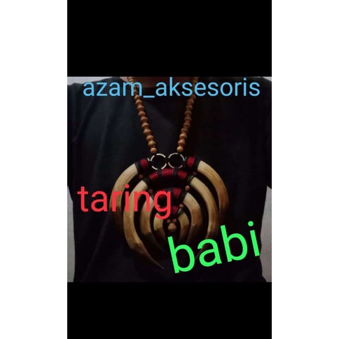 kalung taring babi